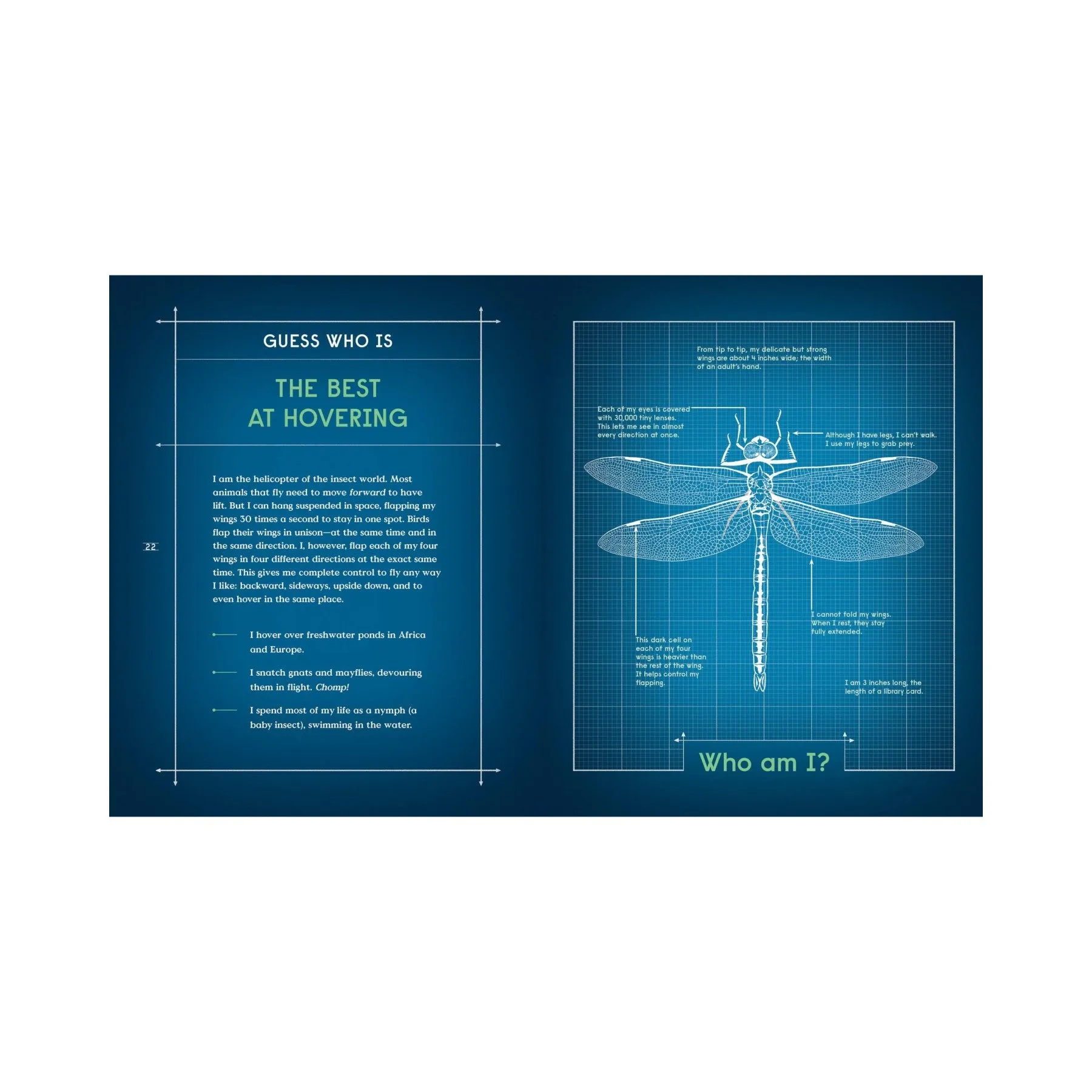 Book Of Flight