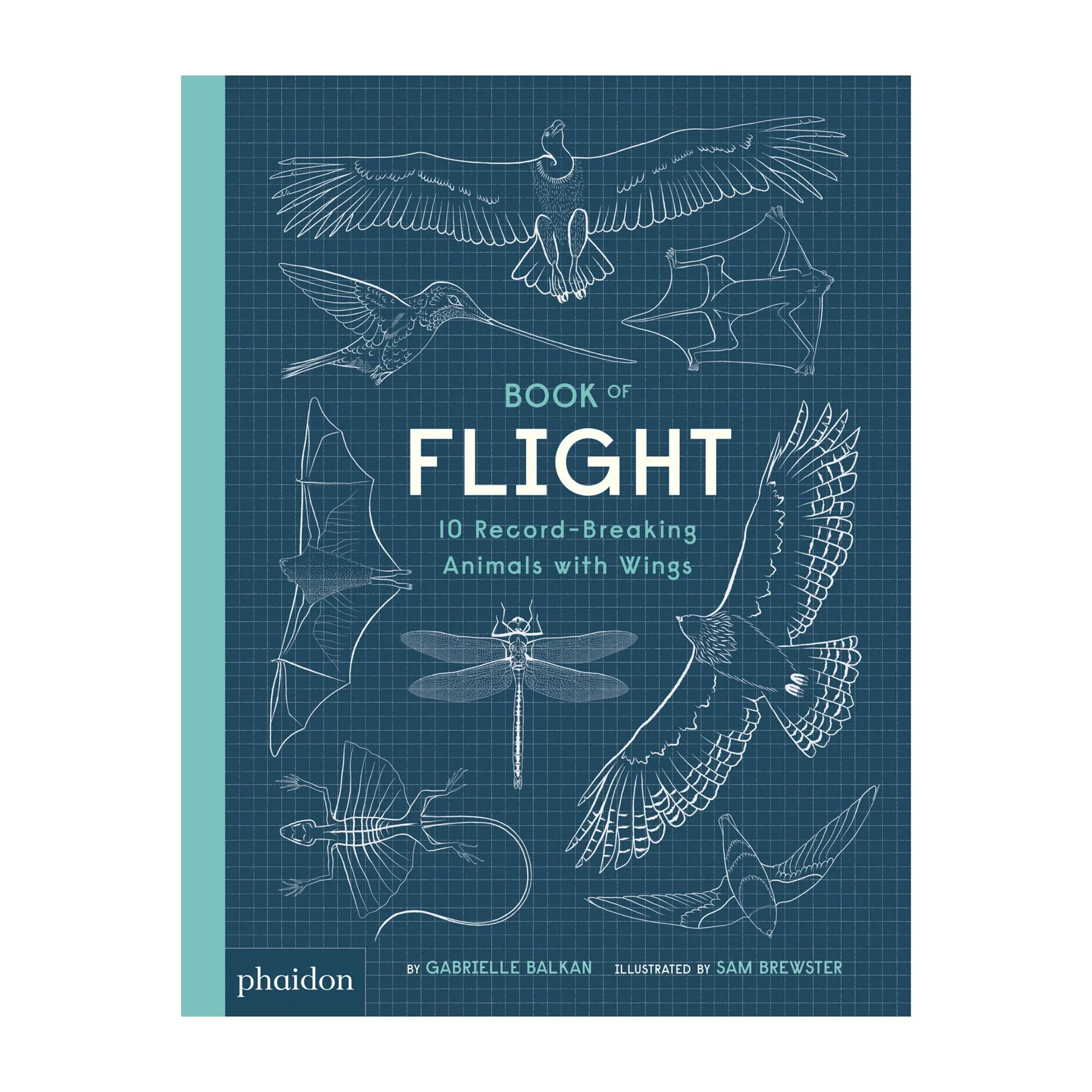Book Of Flight