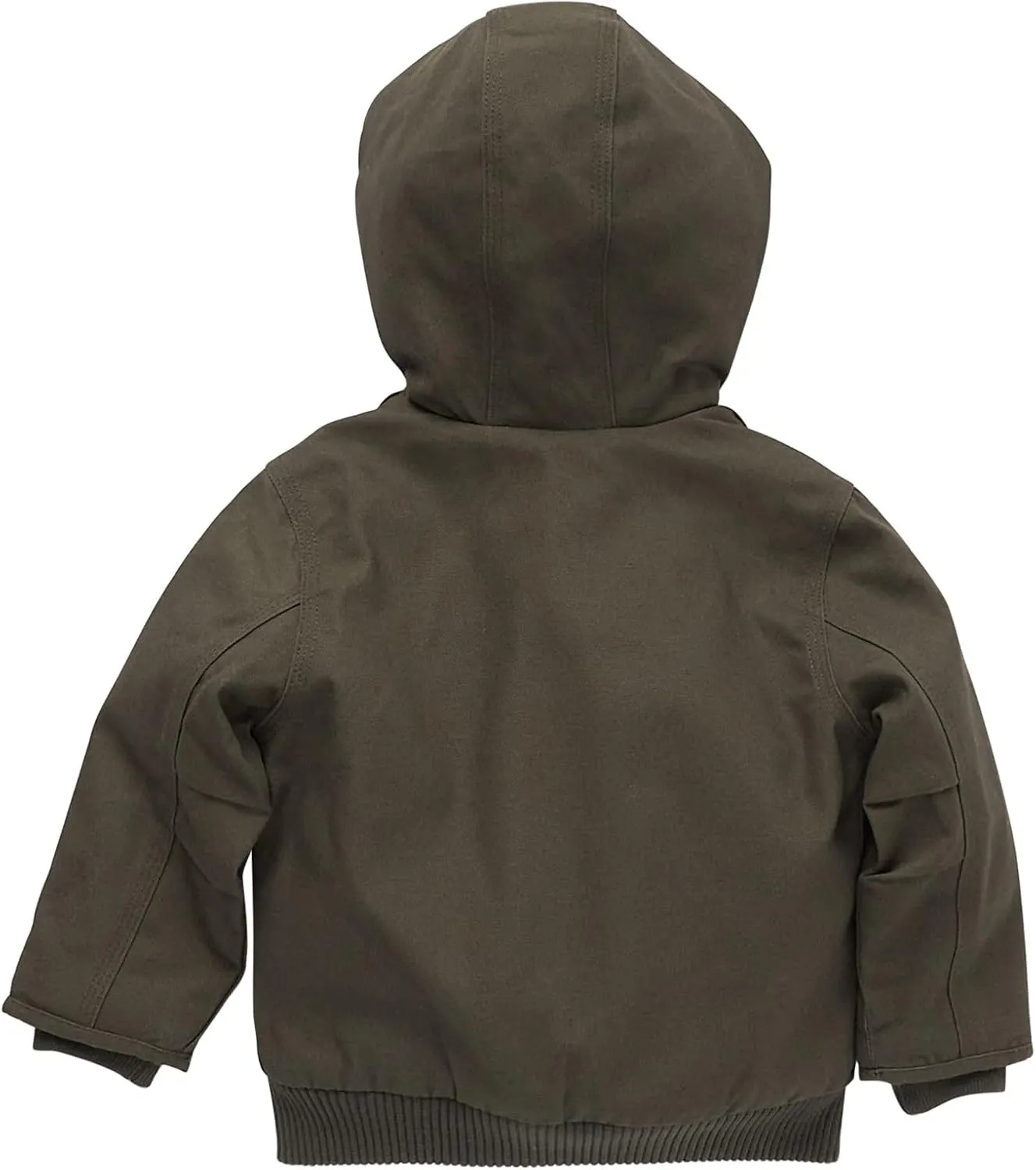 Carhartt Men's Canvas Insulated Hooded Active Jac