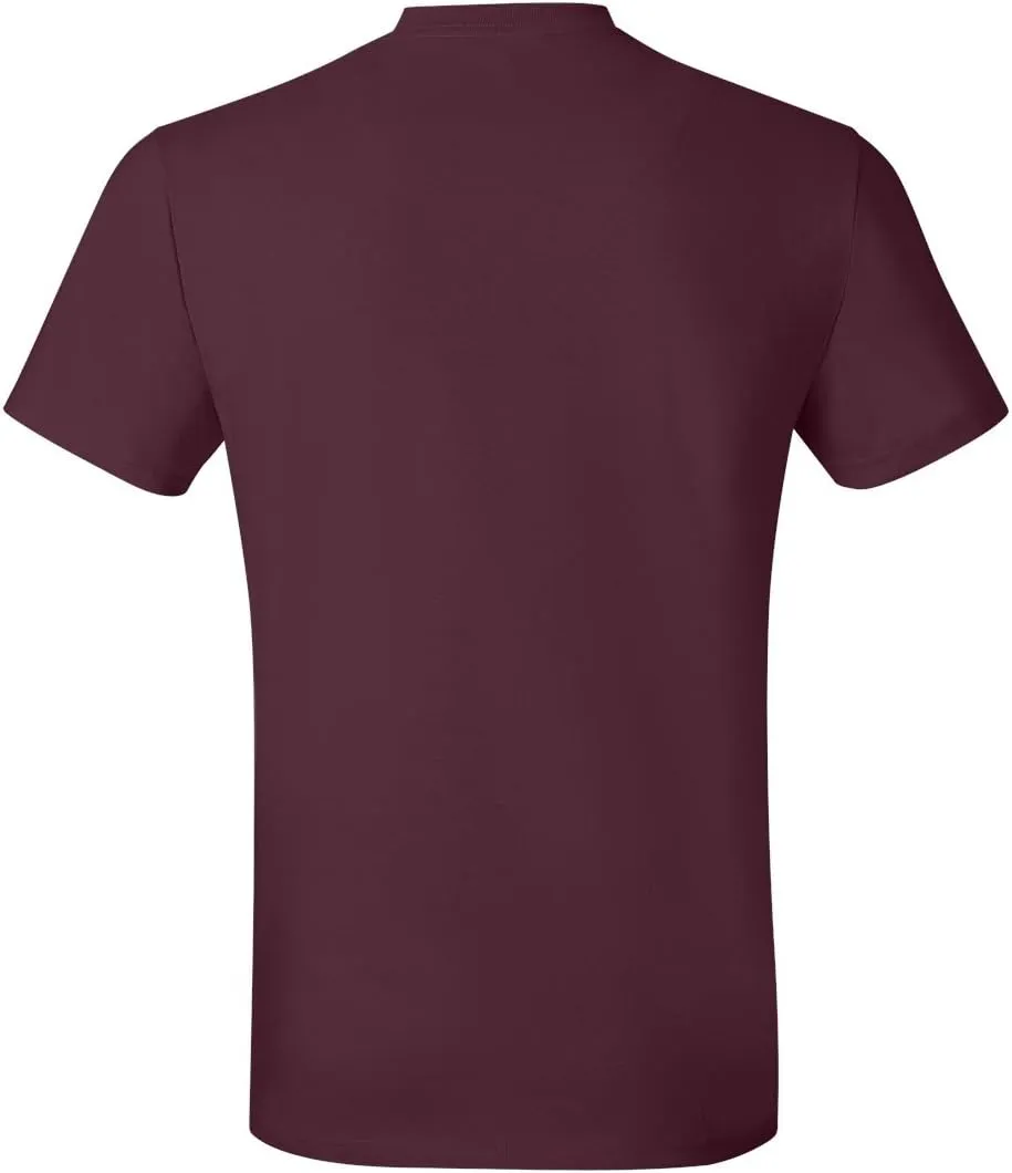 Hanes mens Nano Premium Cotton T-shirt (Pack of 2)