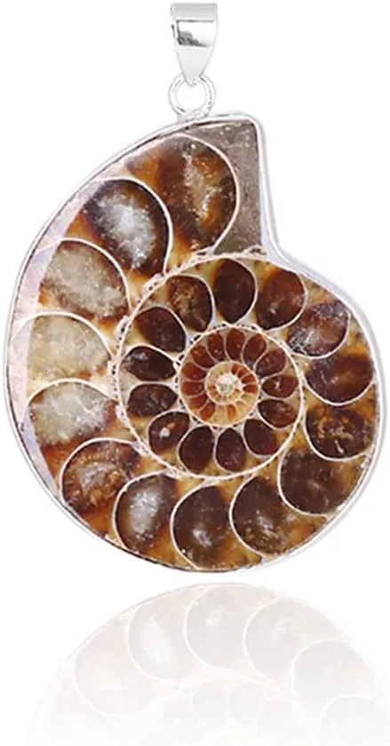 Natural Ammonite s Pendant Jewelry Silver Tone Ammonite s Stone Wrapped Pendant Necklace Fashion Jewelry